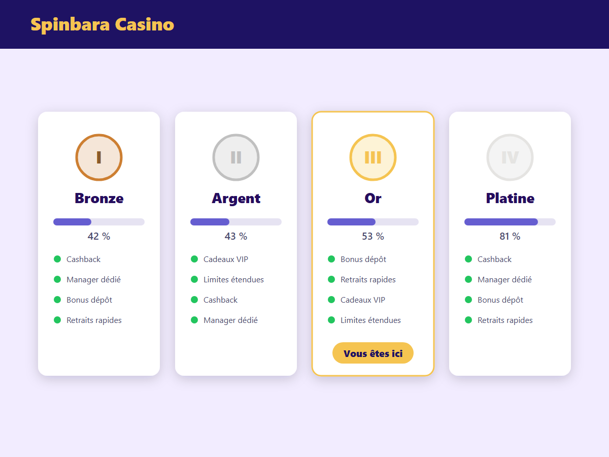 Programme VIP Spinbara Casino